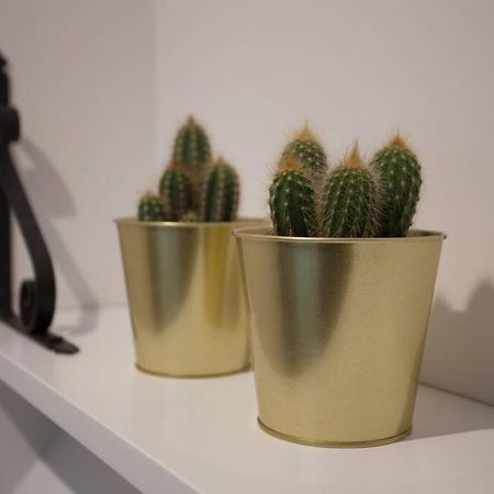 Appartement Bonito Apartamento, Nuevo Y En El Casco Viejo!!! à Bilbao Extérieur photo